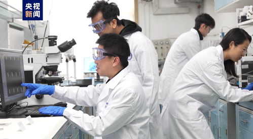 我國(guó)科研人員實(shí)現(xiàn)二維金屬碲化物材料宏量制備，助力材料科學(xué)規(guī)模化應(yīng)用